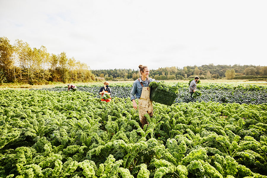  Organic farming course in Dehradun